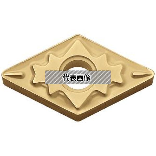 緑であること活動の領域