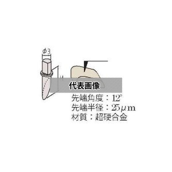 緑であること活動の領域