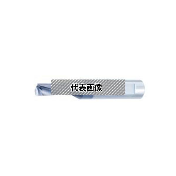 緑であること活動の領域