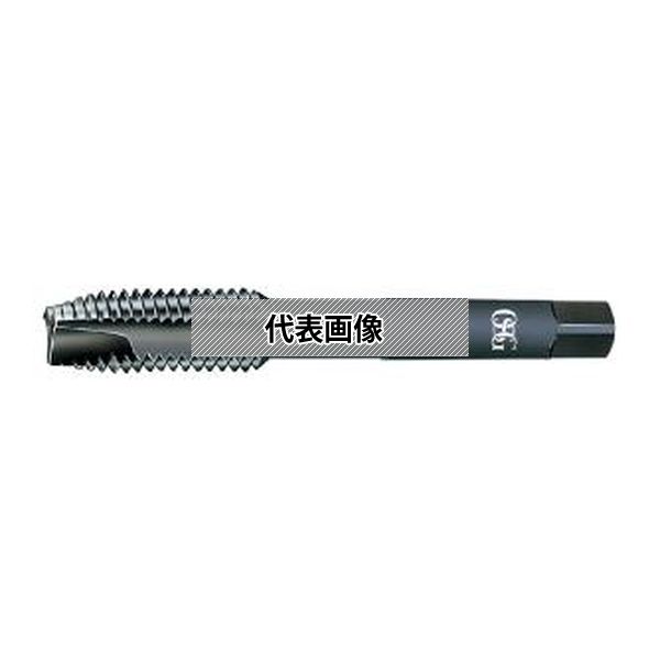 緑であること活動の領域