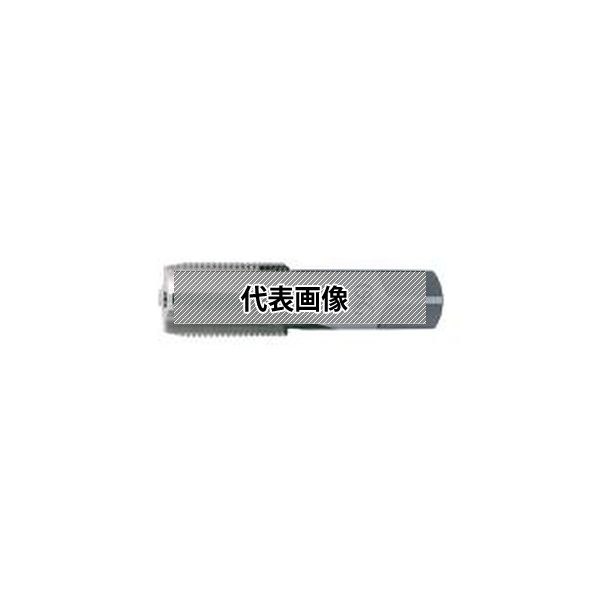 緑であること活動の領域