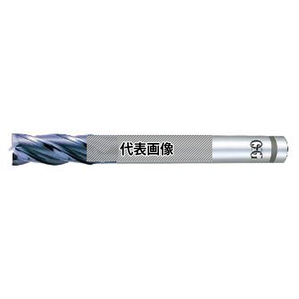 緑であること活動の領域