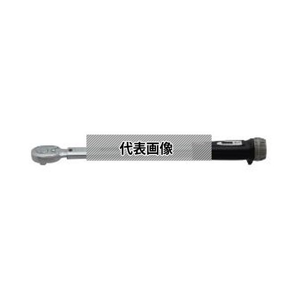 緑であること活動の領域