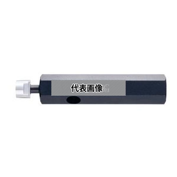 緑であること活動の領域