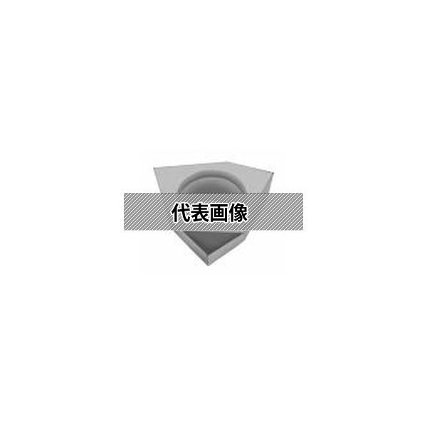 緑であること活動の領域