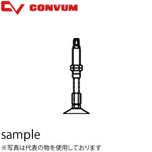 緑であること活動の領域