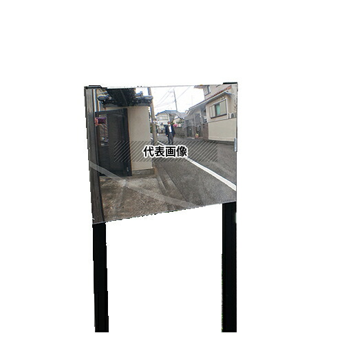 緑であること活動の領域