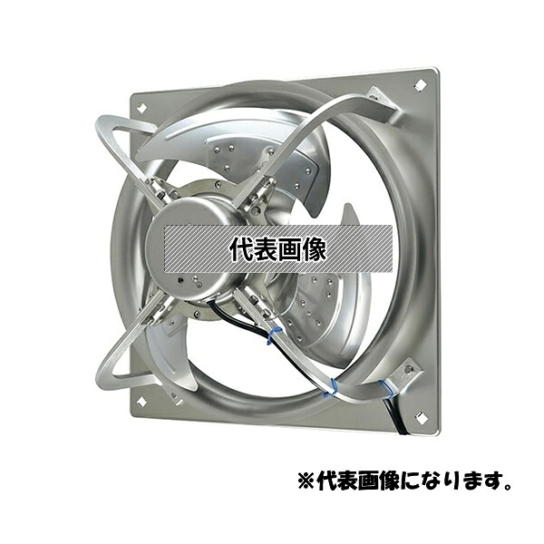 緑であること活動の領域