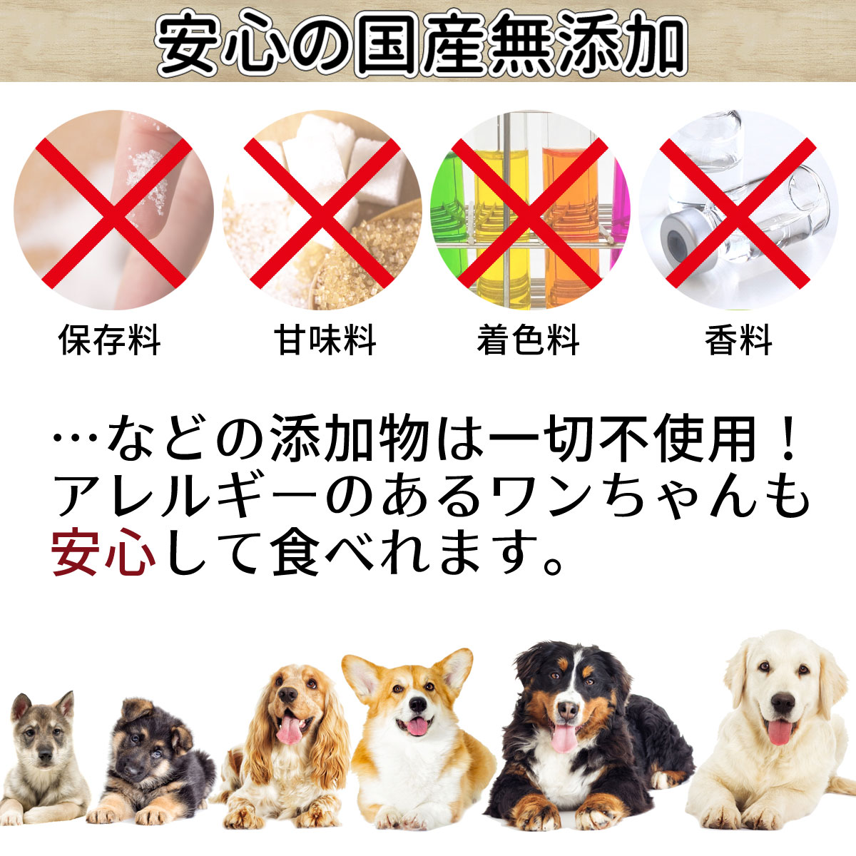 楽天市場 ふりかけ 50g 送料無料 犬 おやつ 無添加 どっぐふーどる 国産 ペット ギフト ドッグフード ペットフード 犬のおやつ ドッグ ドックフード 犬おやつ 犬用品 犬用 オヤツ キャットフード 猫用品 犬のオヤツ ネコ ペット用品 犬のえさ 犬の餌 国産無添加 いぬ