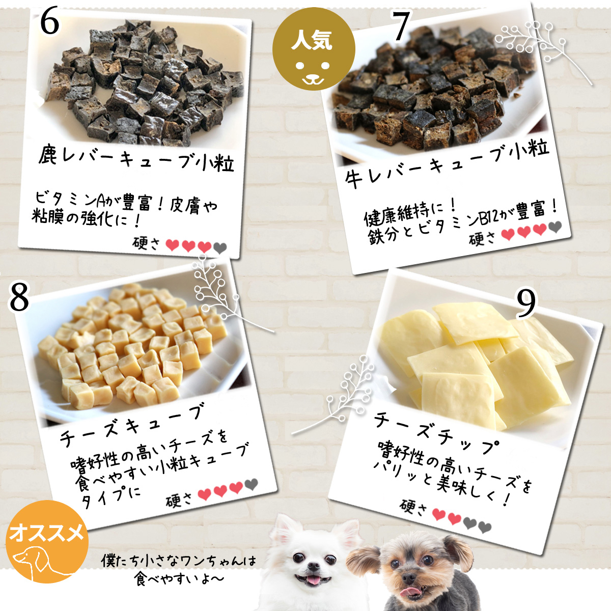 九州ペットフード わんパクッ ミックスキューブ ３００ｇ 犬用おやつ