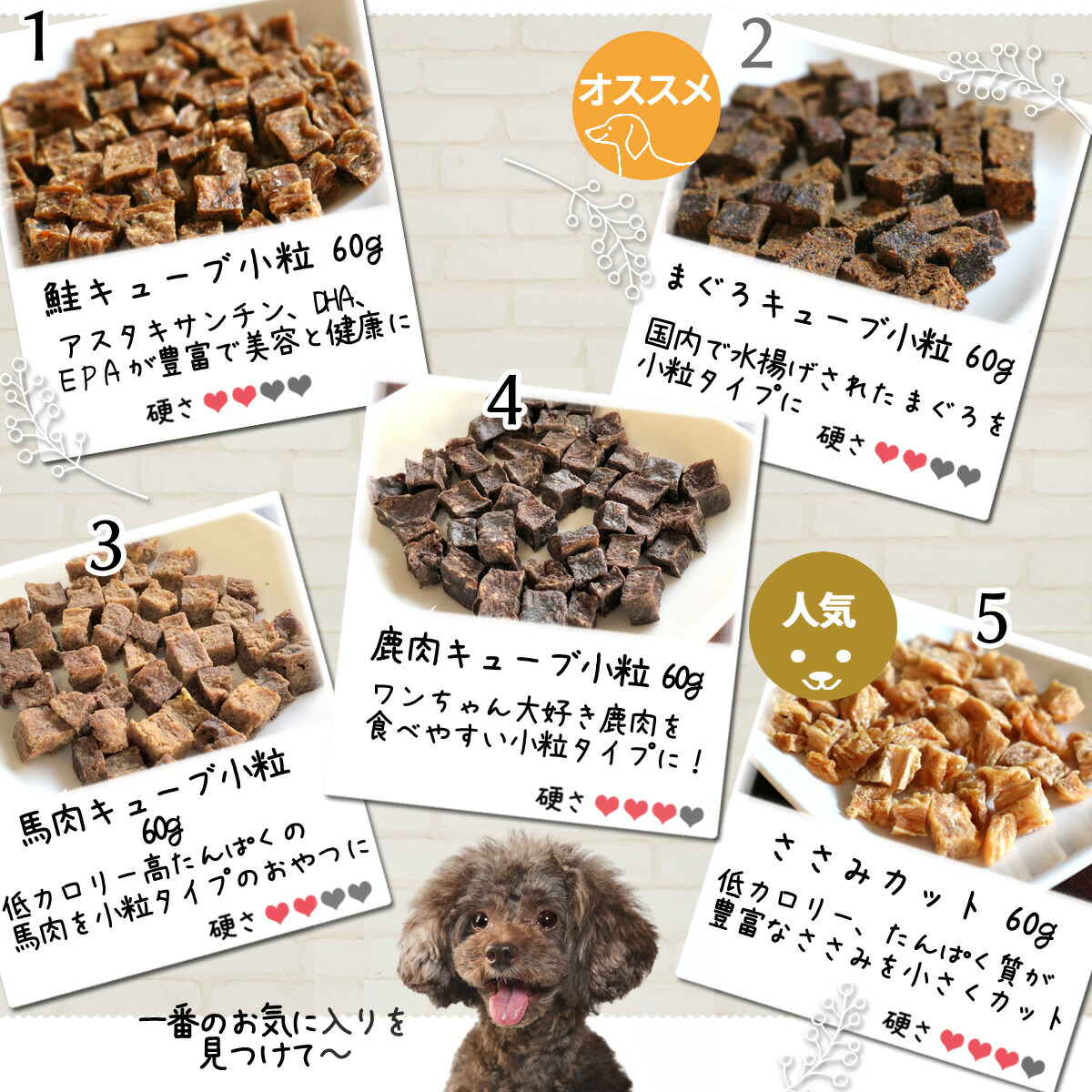 日本製 中袋 選べる2個セット 送料無料 犬 おやつ 無添加 どっぐふーどる 国産 猫 さつまいも ささみ チーズ 鹿肉 鮭 ジャーキー 詰め合わせ  ドッグフード アレルギー 犬のおやつ ドックフード 犬おやつ 小分け オヤツ ギフト 犬用おやつ qdtek.vn