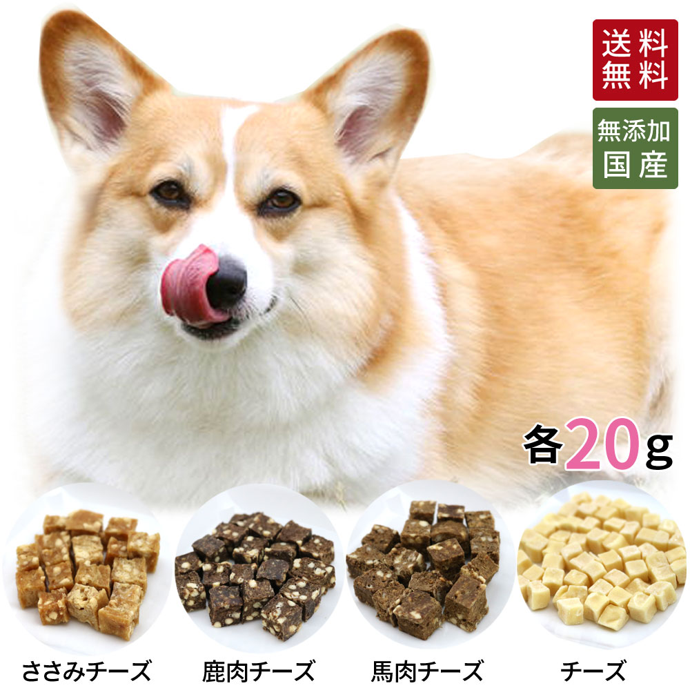 楽天市場 送料無料 犬 おやつ 無添加 2つの味わいキューブ 小分け 4種 各g セット どっぐふーどる 国産 チーズ 鹿肉 ささみ 馬肉 詰め合わせ ギフト ドッグフード 個別包装 犬のおやつ いぬ ドッグ ドックフード ペット フード ペットフード 雑貨とペット用品 どっ