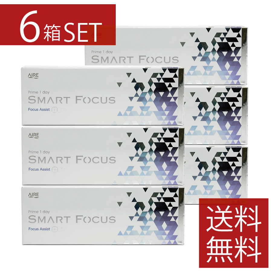 接点 プライムワンデー かっこ良い興味の中心 Prime1day SMART FOCUS【30枚入】×6箱 【アイレ】