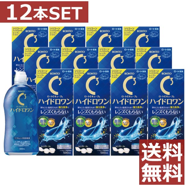 ロートC正六面体 ハイドロ一(500ml)容れもの付×12