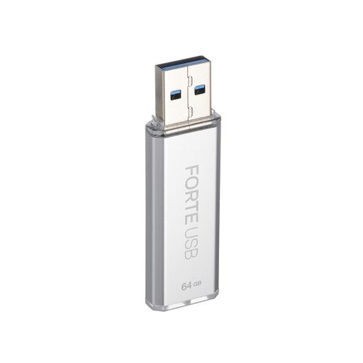 ForteUSB64GB記号化USB3.2閃光電球運転、XTS-AES記号化、合いことば公証、自動小銃鍵を掛ける、しろがね色金属元素入れもの(64GB)