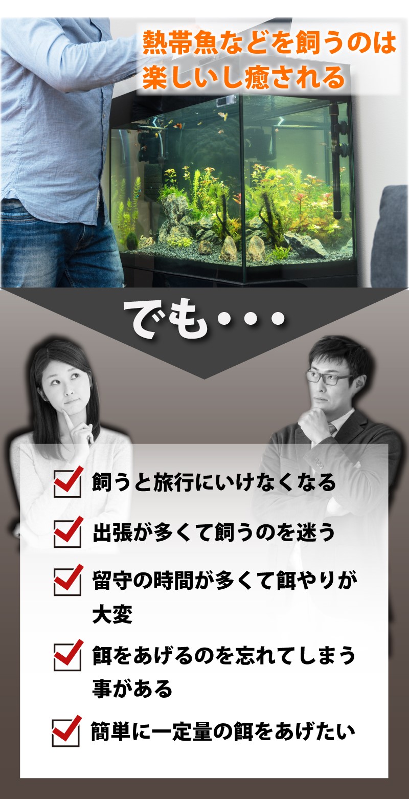 楽天市場 1 9 時 4時間限定10 Offクーポン配布 魚 自動 給餌器 給餌 餌やり 餌やり機 エサ 餌 エサやり 魚自動給餌器 自動餌やり 自動えさやり 留守 旅行 熱帯魚 金魚 魚用 送料無料 ファーストマーケット