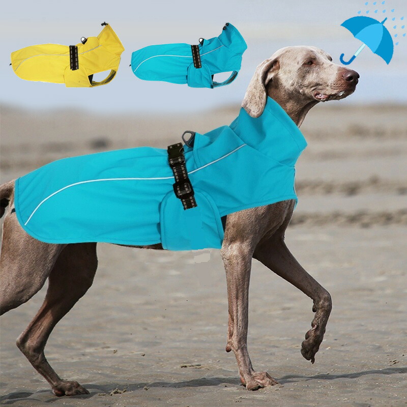 楽天市場】犬 レインコート 服 犬用レインコート 小型犬 中型犬 大型犬