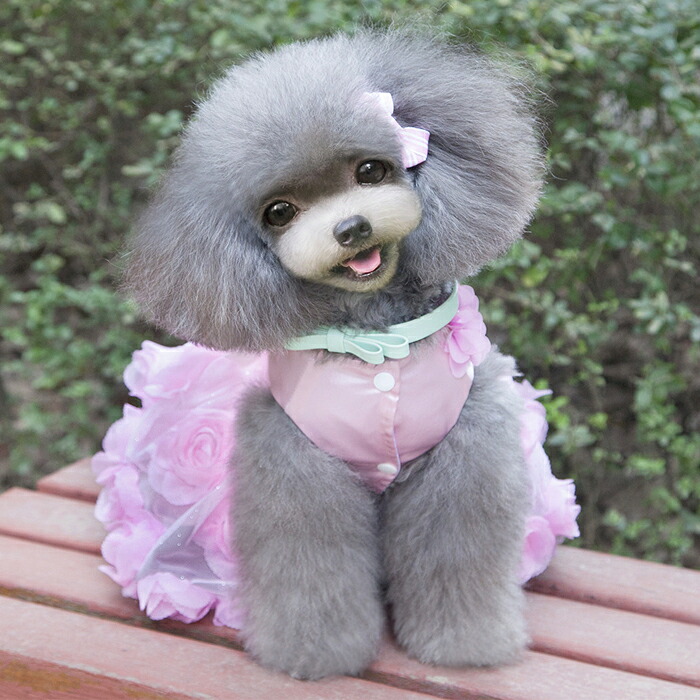 犬ドレス 犬のドレス ウェディングドレス パーティードレス 犬結婚式ドレス お誕生日 ドッグウェア ワンピース 上品 レース フラワー リングドック ドレス 正月 おでかけ 結婚式 誕生日 プレゼント 仮装 ハロウィン パーティー コスプレ 撮影 フォーマル Yo4012