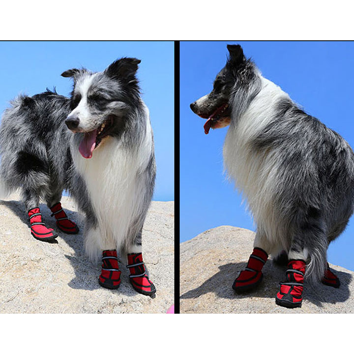 犬 靴 防水 シューズ ドッグシューズ ソフト 犬の靴 犬靴 プロテクション ロング 保護
