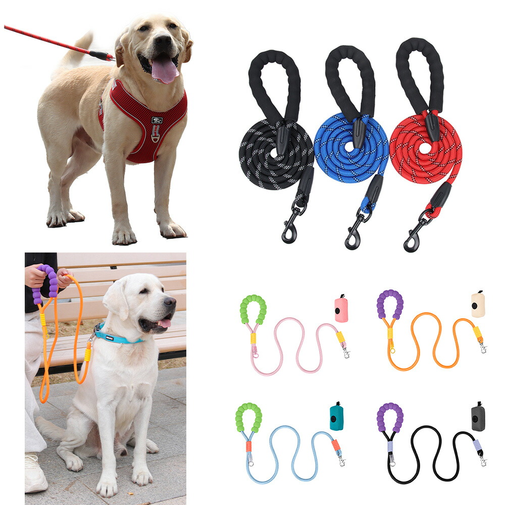 楽天市場】在庫処分 アウトレット 犬 リード ハーネスリード
