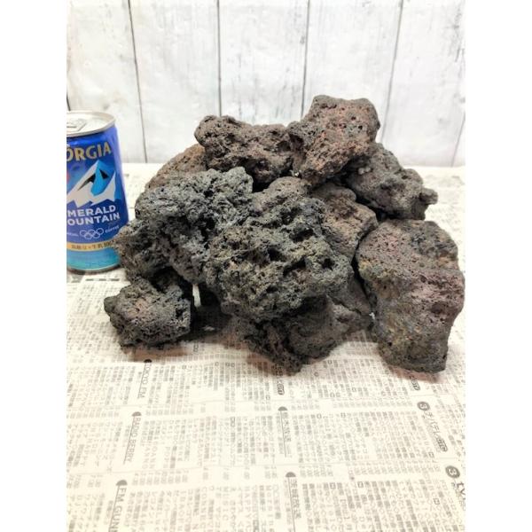 水草 おもり 溶岩石 水槽 アクアリウム 小さい 赤 メダカ 石 赤40個 Amazon | TOMMYFIELD 水草 おもり 溶岩石 水槽 アクアリウム