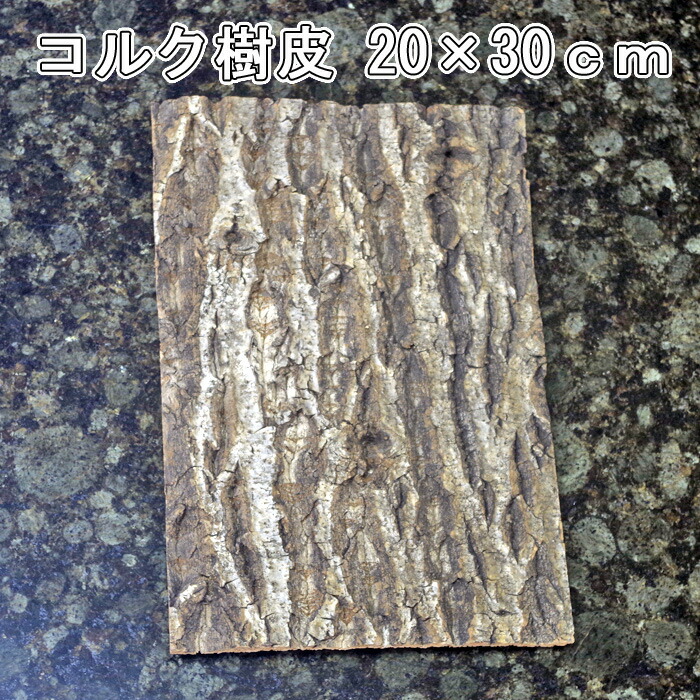 市場 コルク 樹皮 ２０×３０cm 厚1cm以下