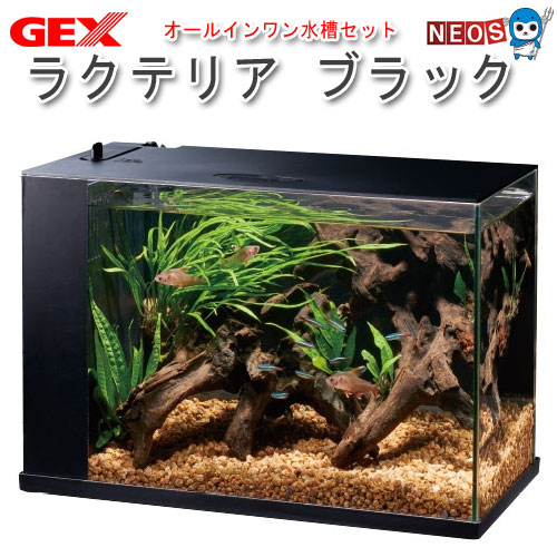 楽天市場 Gex ラクテリア ブラック 水槽セット 飼育セット 水槽 熱帯魚 観賞魚 飼育 セット水槽 オブジェ 生体 通販 販売 アクアリウム あくありうむ ネオス 楽天市場店