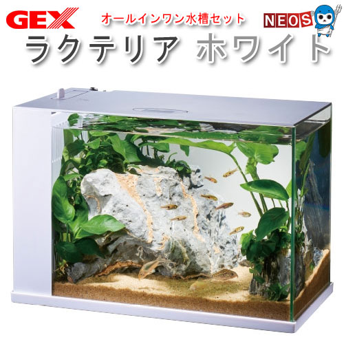 楽天市場】GEX FLUVAL FLEX【取寄せ商品】 : ネオス 楽天市場店