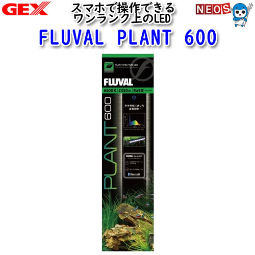 楽天市場】アクアF数量限定大特価！【GEX】FLUBAL PLANT