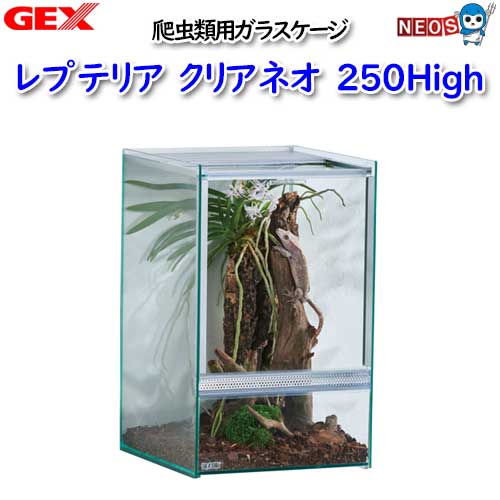 楽天市場】GEX グラステラリウム 3045 爬虫類 飼育 ケージ