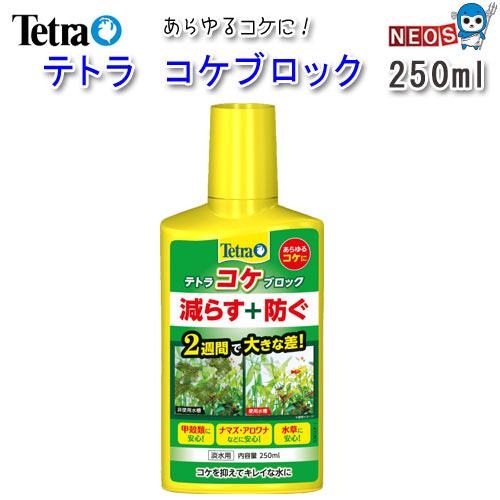 楽天市場 テトラ コケブロック 250ml 水槽 熱帯魚 観賞魚 飼育 生体 通販 販売 アクアリウム あくありうむ ネオス 楽天市場店