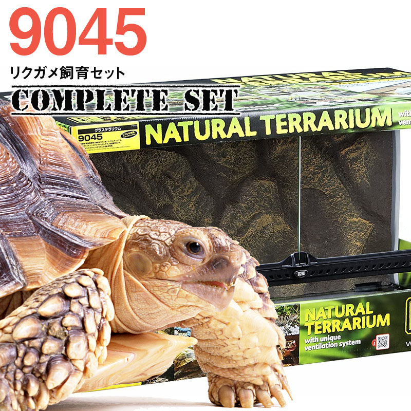 楽天市場】GEX グラステラリウム 9045 爬虫類 飼育 ケージ