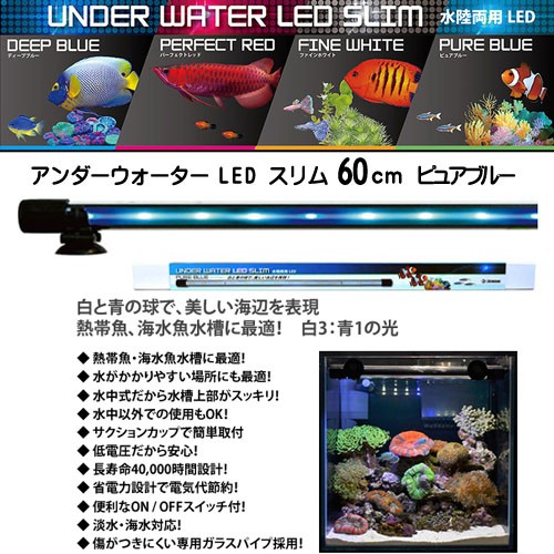 ゼンスイ　アンダーウォーターLED スリム 60cm ピュアブルー（PB）【取寄商品】 【水槽/熱帯魚/観賞魚/飼育】【生体】【通販/販売】【アクアリウム/あくありうむ】【小型】