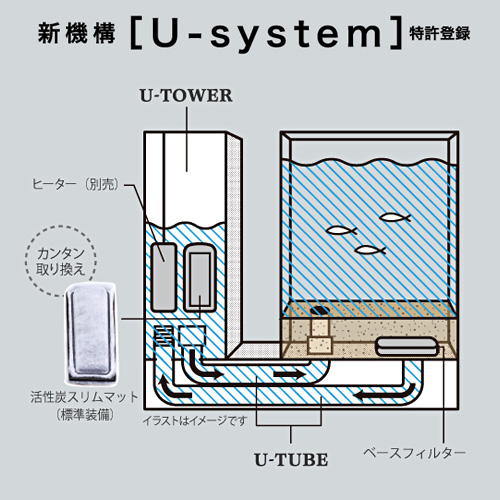 Gex Aqua U アクアユー 水槽セット 水槽 熱帯魚 観賞魚 飼育 セット水槽 オブジェ 生体 通販 販売 アクアリウム あくありうむ ネオス 店 豊富な400種以上 5万匹以上の生体が揃っています ジェックス Aqua U アクアユー ネオス