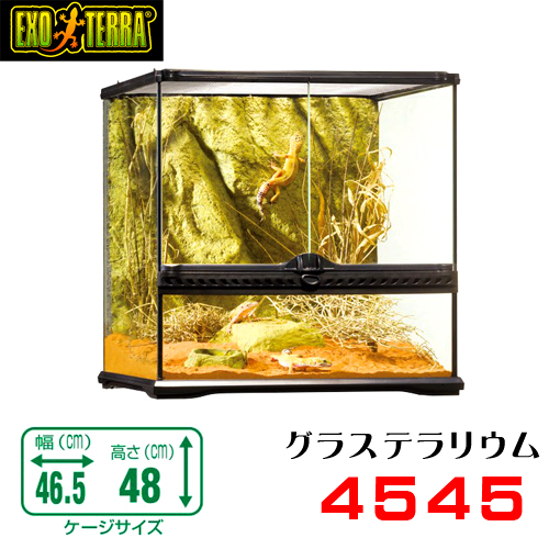 楽天市場】GEX グラステラリウム 6030 爬虫類 飼育 ケージ ガラス 