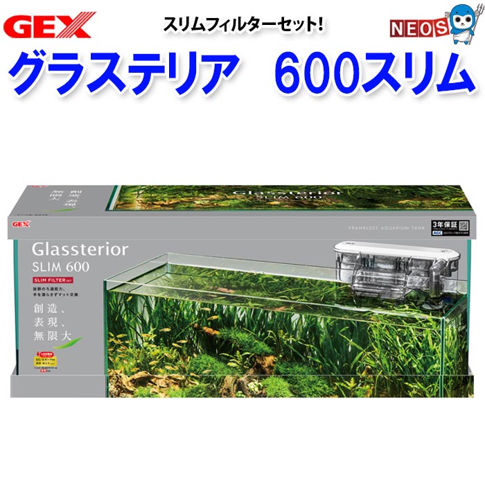gex20240214-10_01.jpg