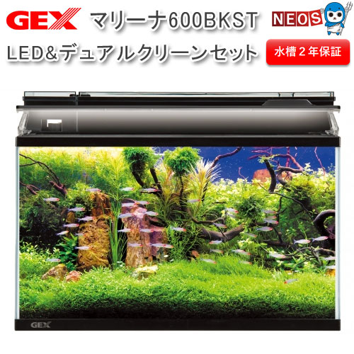 Gex マリーナ600bkst Led デュアル清亮揃 ため桶 水槽 熱帯とと 尊崇魚 繁殖 セット水槽 オブジェ 獣 メイルオーダー 売る アクアリウム あくありうむ Restaurant Valentino De