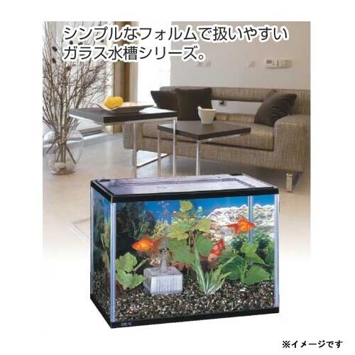 Gex マリーナ幅60cm水槽 Mr600bkst N 観賞魚 セット水槽 水槽 飼育 熱帯魚