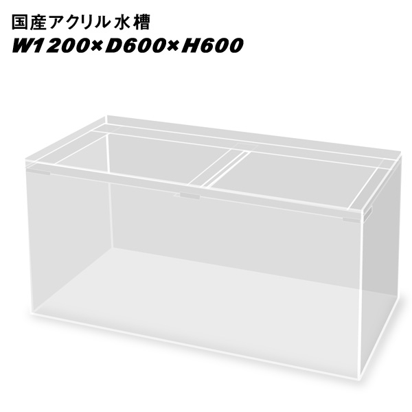 国産アクリル水槽w10 D600 H600 板厚