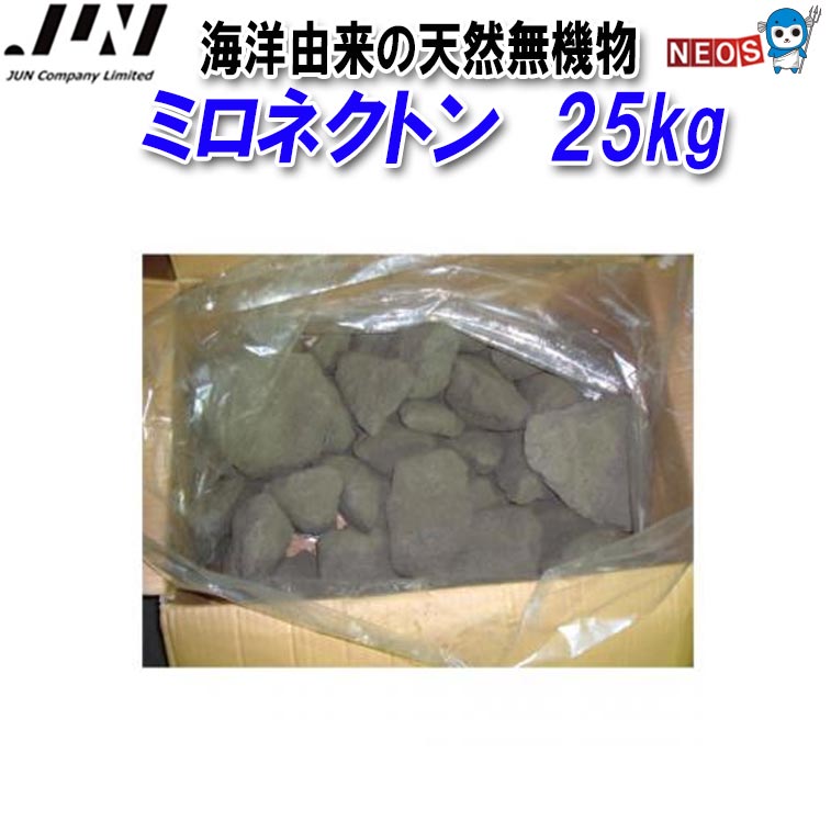 熱帯魚海洋博物館の立ち上げ方｜未経験者がすべり出しにそろえる其の儀完膚なきまで御引き回し