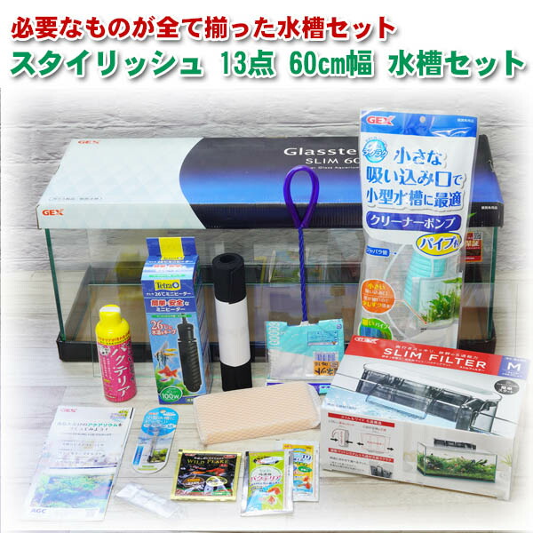 【水槽set】 スーパーSET 13点 60cm 水槽セット 初心者のアクアリウム入門にピッタリ 初めてでも必要な用品が揃っているから安心 【新着】【送料無料/水槽セット/飼育セット/水槽/熱帯魚/観賞魚/飼育/生体/通販/販売/アクアリウム/入門/】