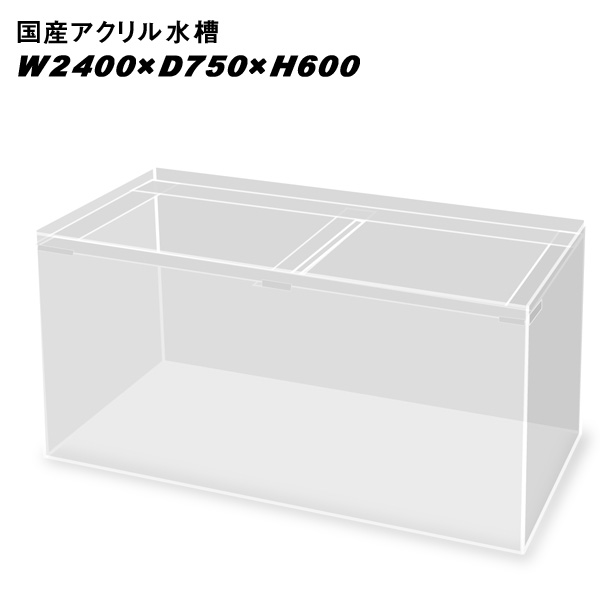 完売 国産アクリル水槽w2400 D750 H600 板厚 周囲15mm底面13mm 溶剤接着 帯無し 同梱不可 送料要問い合わせ アクリル水槽 水槽 熱帯魚 観賞魚 飼育 生体 通販 販売 アクアリウム あくありうむ メーカー包装済 Www Lexusoman Com