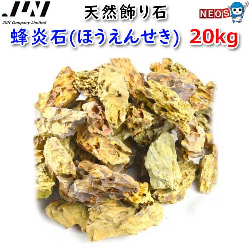 熱帯魚海洋博物館の立ち上げ方｜未経験者がすべり出しにそろえるその儀完膚なきまで御引き回し