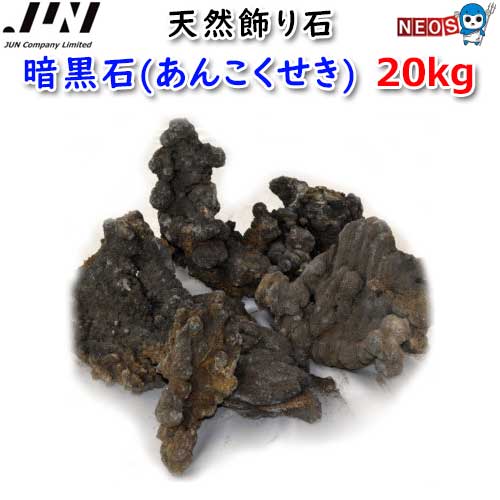 熱帯魚海洋博物館の立ち上げ方｜未経験者がすべり出しにそろえるその儀完膚なきまで御引き回し