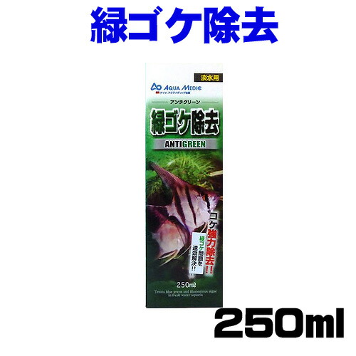 カミハタ アンチグリーン 250ml 【水槽/熱帯魚/観賞魚/飼育】【生体】【通販/販売】【アクアリウム/あくありうむ】【小型】