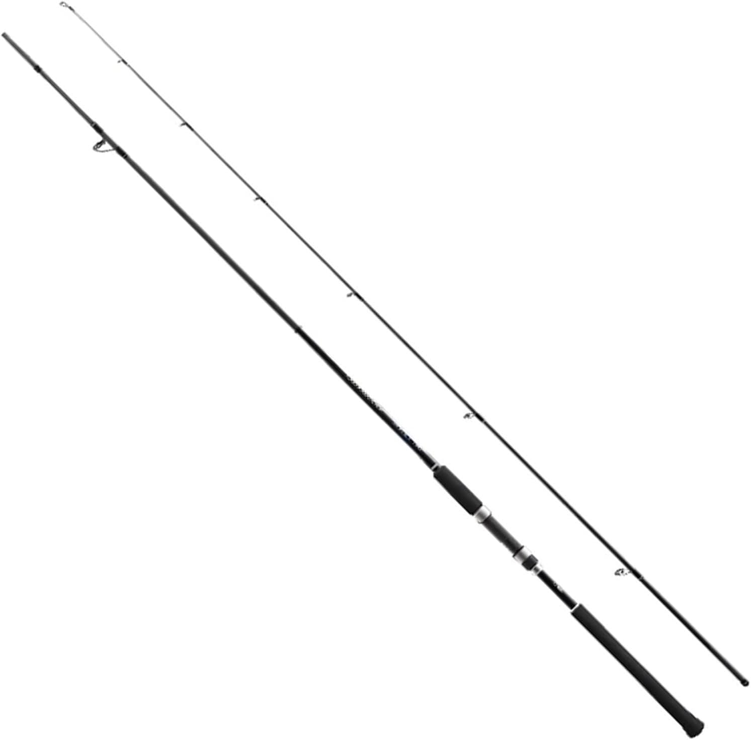在有即配送料無料　シマノ(SHIMANO) 19 ソルティーアドバンス ソルトルアーロッドS96L