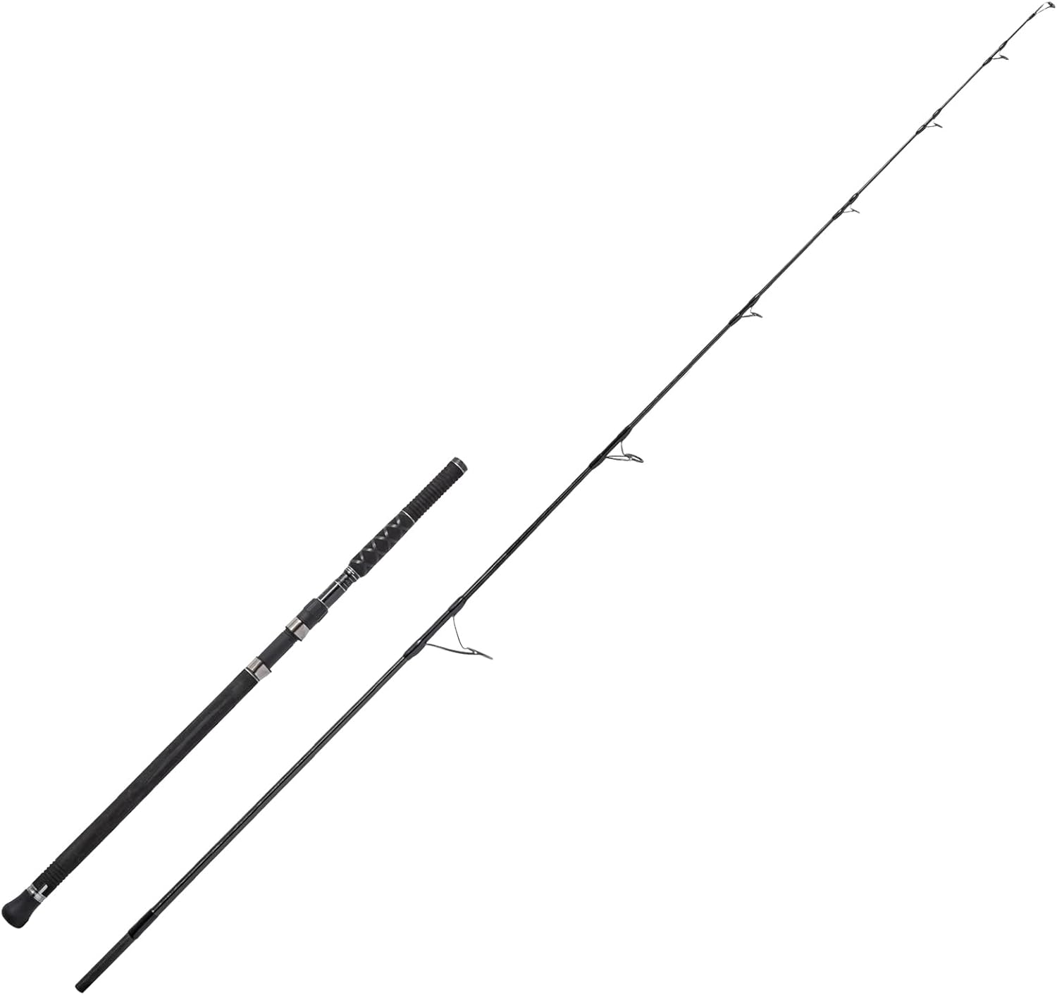 在有即日発送　アブガルシア(Abu Garcia) ソルティーステージプロトタイプ アジング XAJS-6102LSS(スピニング・2ピース) 22,323円