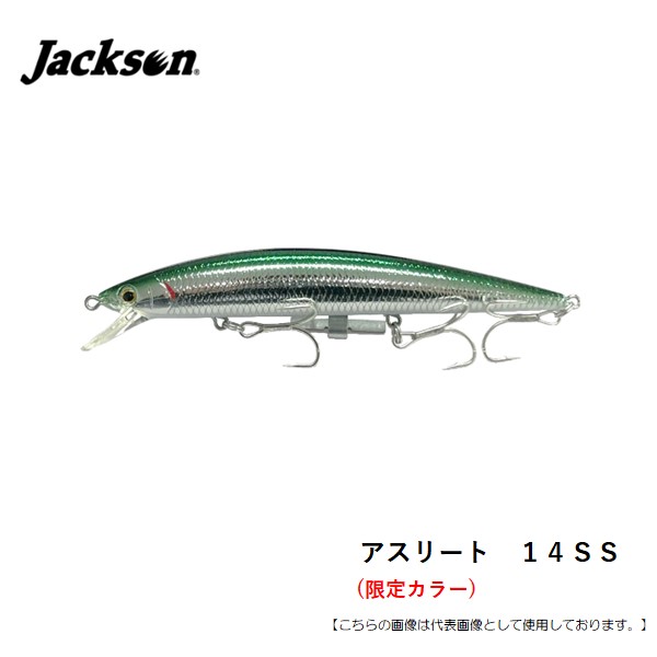 【オリカラあり】ディスプラウト　デカメッシュ2.5g ② ディスプラウト メッシュ オリジナルカラー - トラウトアイランド