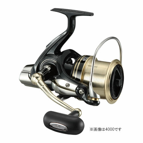 【5と0の日 エントリーで最大限度P15倍！】 ダイワ 17 陳列場役をつける 6000QD