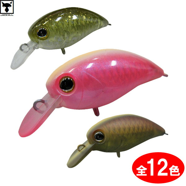 ティモン　パニクラMR ロデオチューン Amazon | ティモン×ロデオクラフト パニクラ【DR】ロデオ